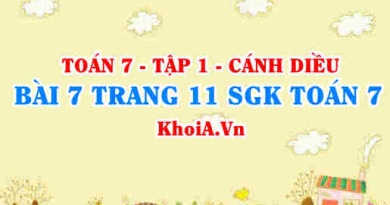 Bài 7 trang 11 SGK Toán 7 tập 1 Cánh Diều